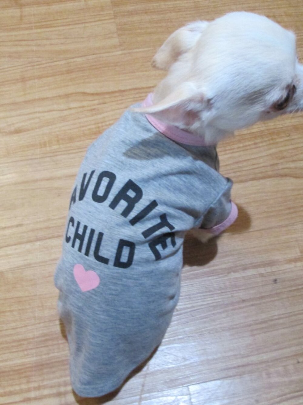 Extra Small favorite Child Pink/grey shirt for small dogs worn by a lucky dog